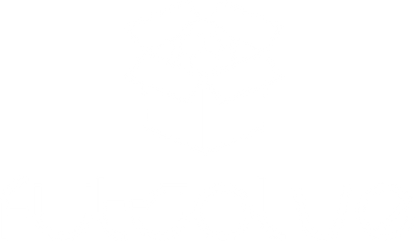 Futsolve